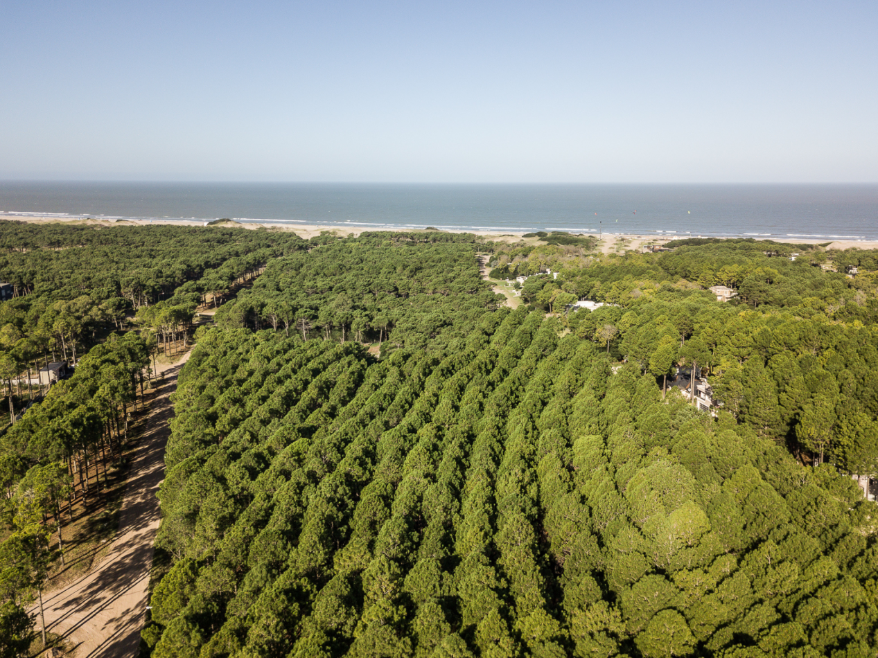 CASA EN VENTA EN PINAMAR
